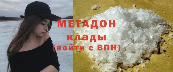 индика Арсеньев