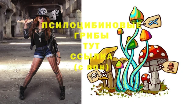 ГАЛЛЮЦИНОГЕННЫЕ ГРИБЫ Остров