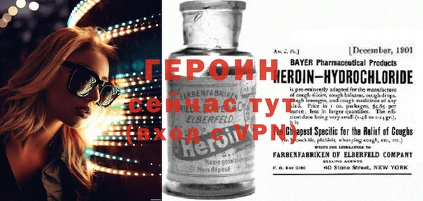 индика Арсеньев