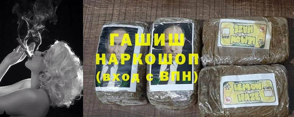индика Арсеньев