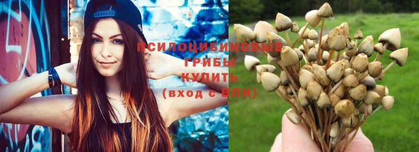 индика Арсеньев