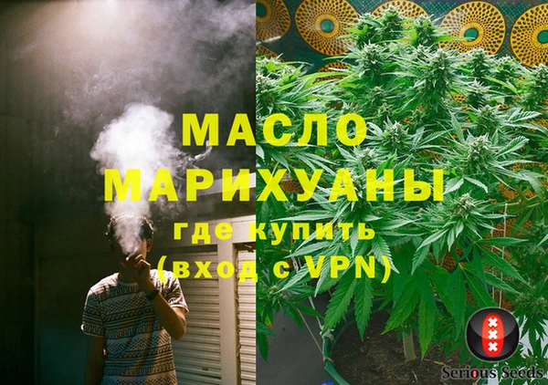 индика Арсеньев